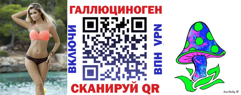 ссылка на мегу как войти  Чкаловск  Галлюциногенные грибы Magic Shrooms 