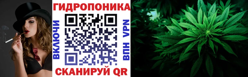 наркотики  Чкаловск  Шишки марихуана гибрид 